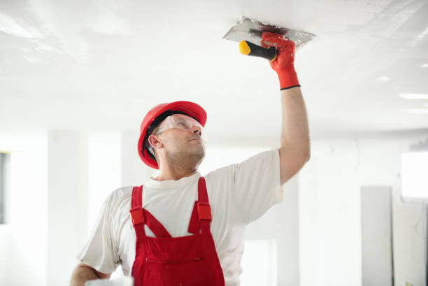 Best Drywall Removal and Disposal  in Boone, NC